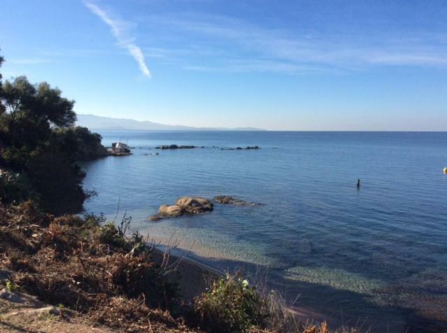 Villa D'Exception, Piscine, Vue Mer, Plage A 100M Ajaccio  Exterior foto